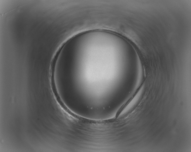 X0000074291508200608251331