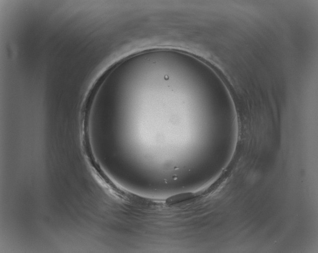 X0000074291511200608251331