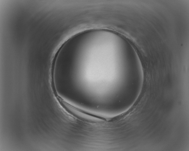 X0000074291512200608251331