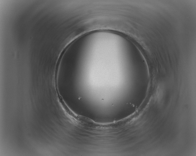 X0000074291513200608251331