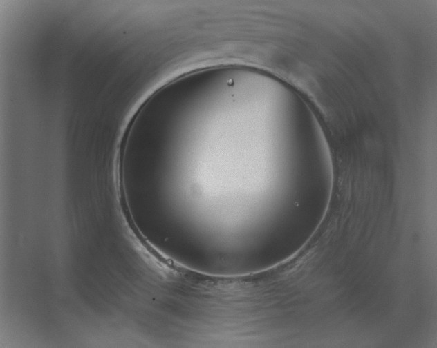 X0000074291516200608251331