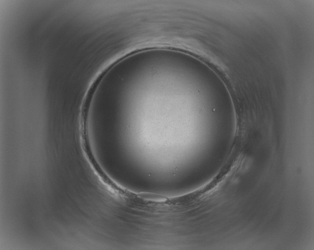 X0000074291517200608251331