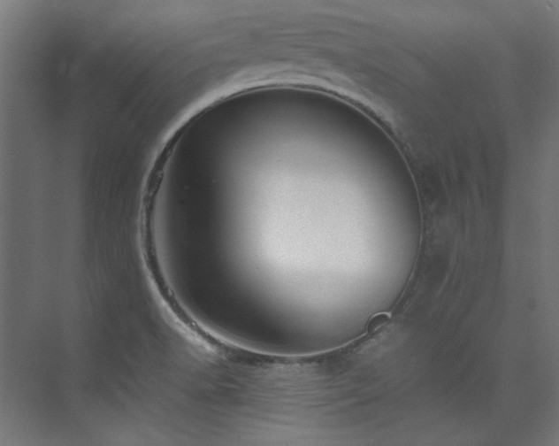 X0000074291518200608251331