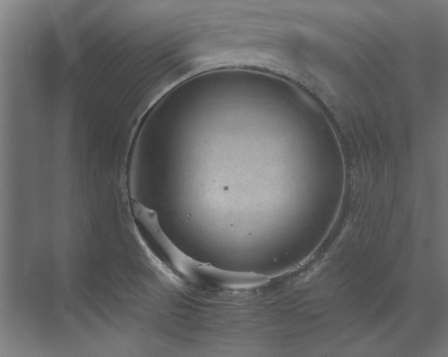 X0000074291521200608251331