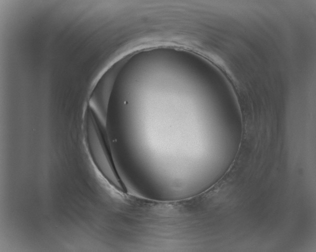 X0000074291524200608251331