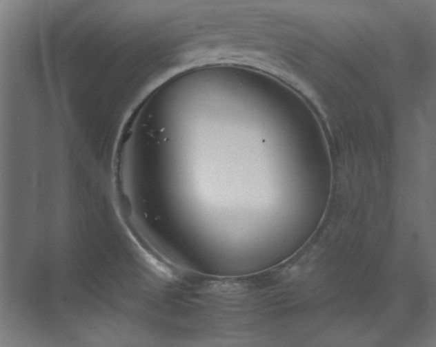 X0000074291525200608251331