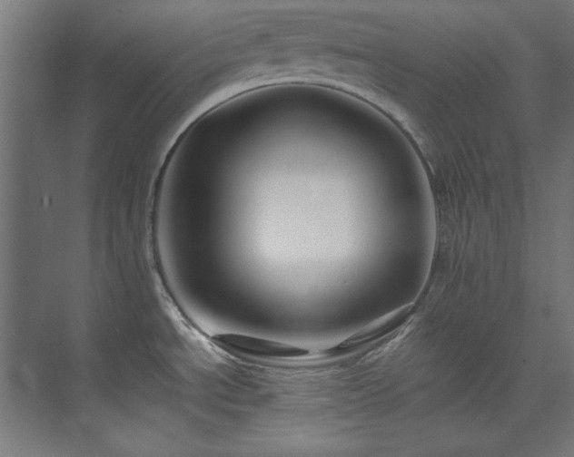 X0000074291534200608251331