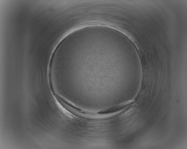 X0000074291535200608251331