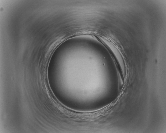 X0000074290001200609011419