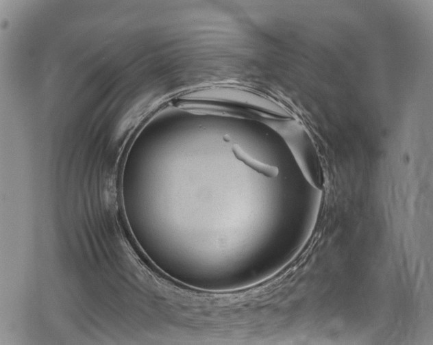 X0000074290002200609011419