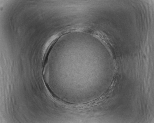 X0000074290003200609011419