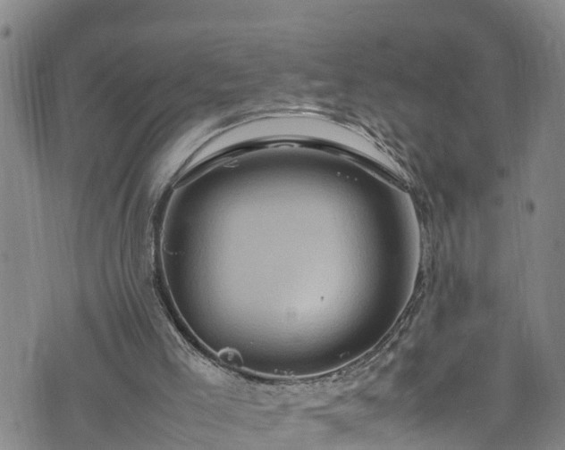 X0000074290005200609011419