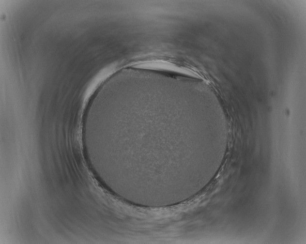 X0000074290006200609011419