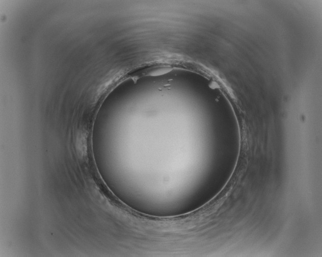 X0000074290010200609011418