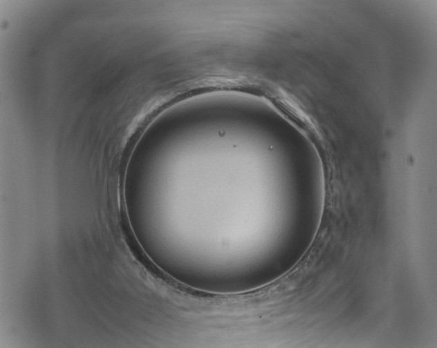 X0000074290011200609011418