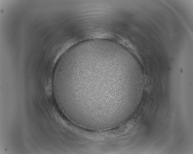 X0000074290012200609011418