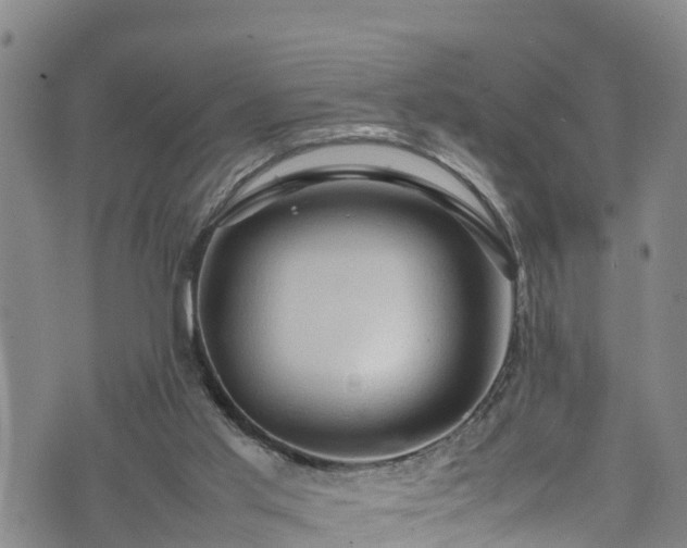 X0000074290013200609011418