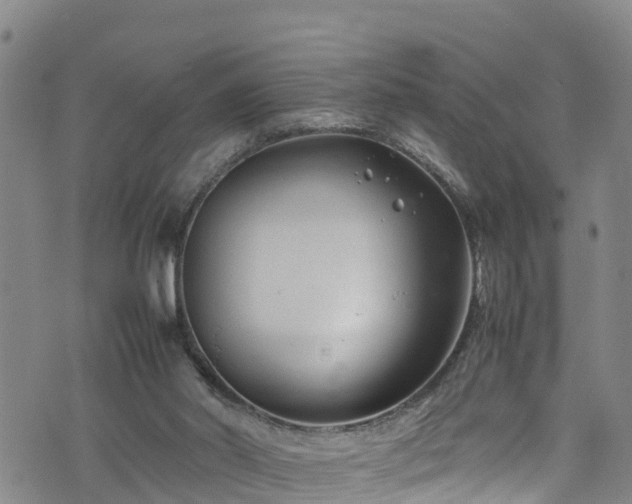 X0000074290014200609011418