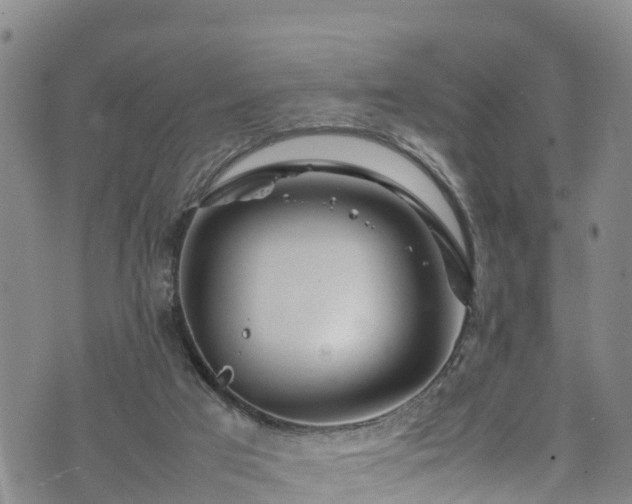 X0000074290017200609011418