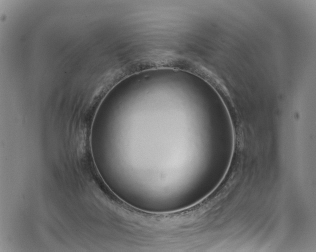 X0000074290018200609011418