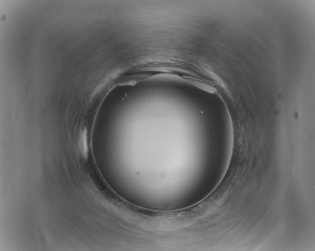 X0000074290020200609011418