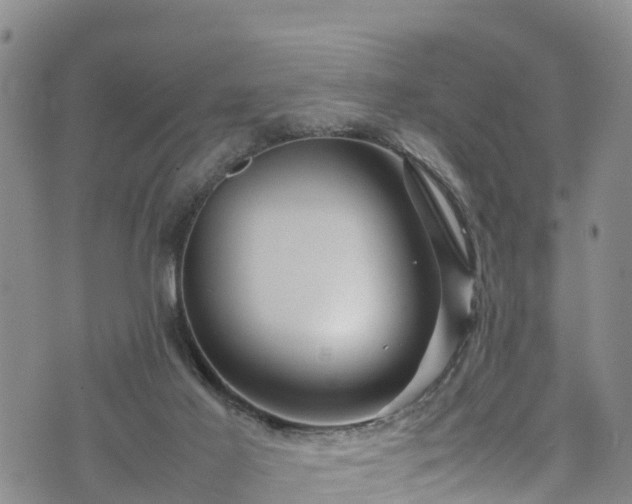 X0000074290021200609011418