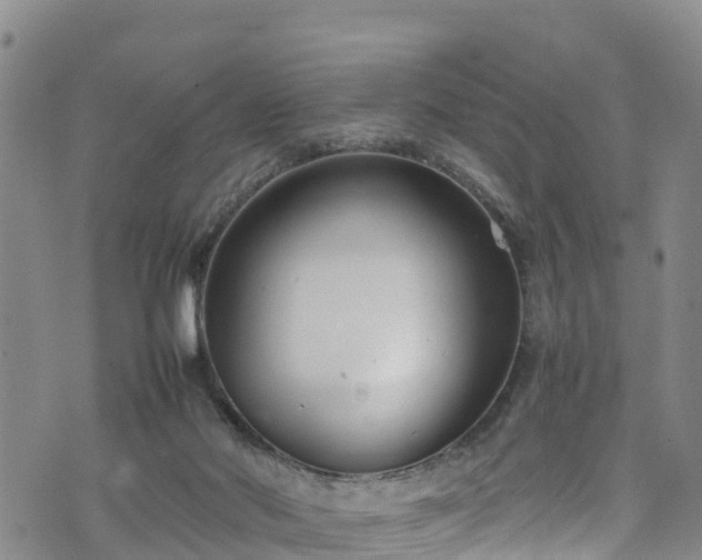 X0000074290022200609011418