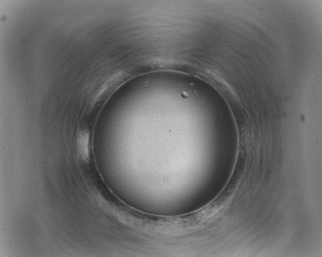 X0000074290024200609011418