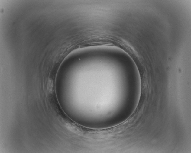 X0000074290025200609011418