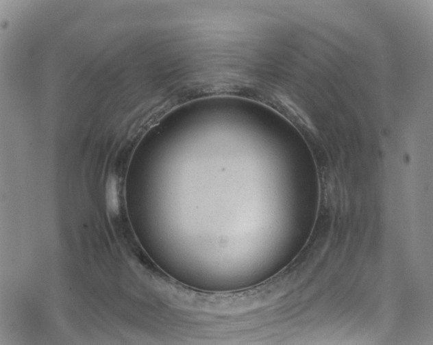 X0000074290026200609011418