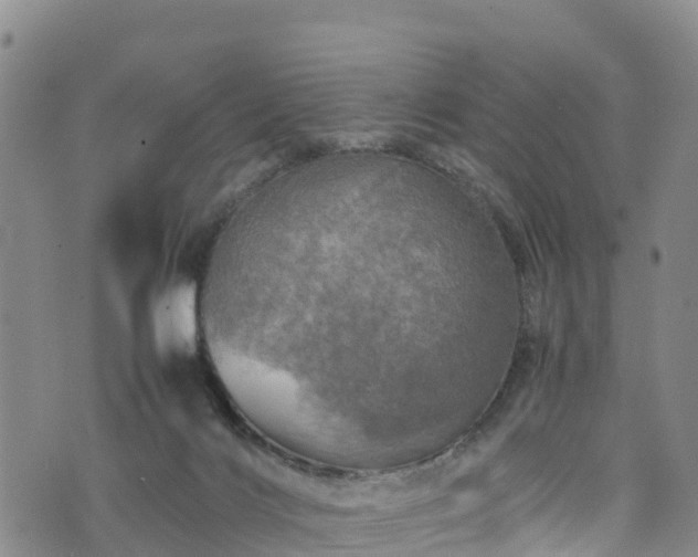 X0000074290028200609011418