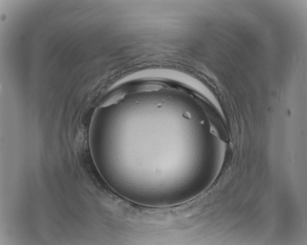 X0000074290029200609011418