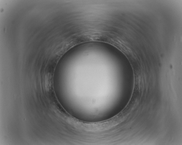 X0000074290030200609011418