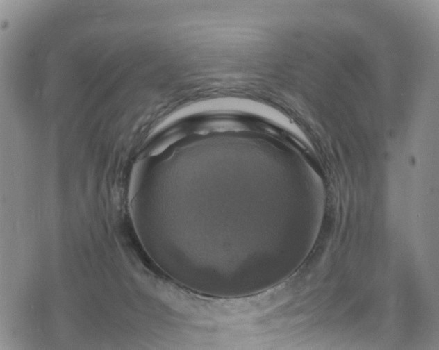 X0000074290031200609011418