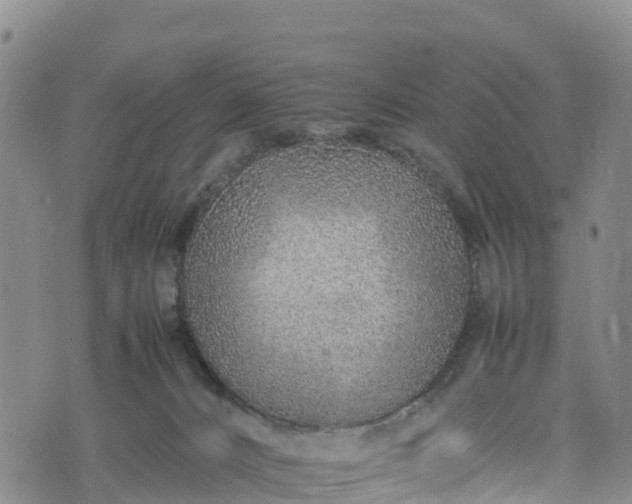 X0000074290032200609011418