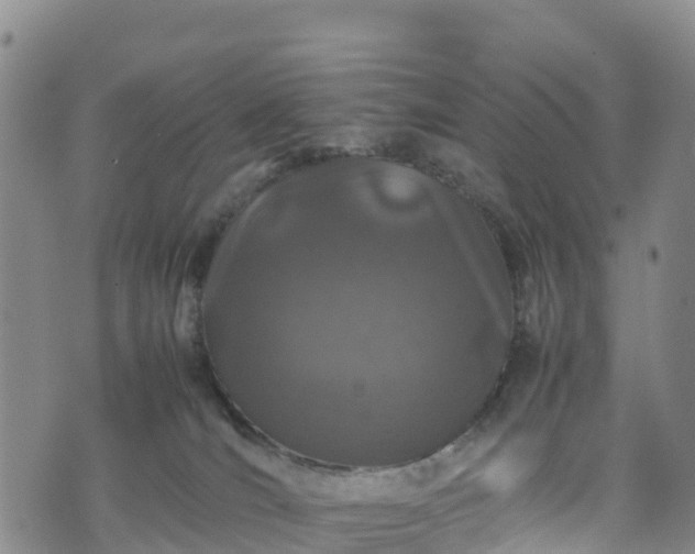 X0000074290036200609011418