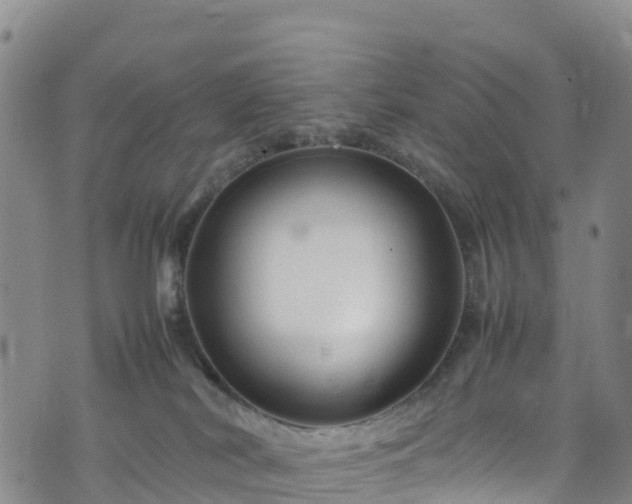 X0000074290038200609011418