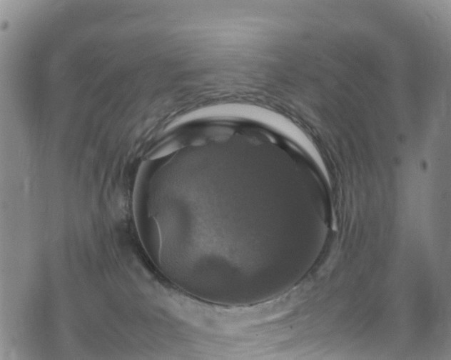 X0000074290039200609011418