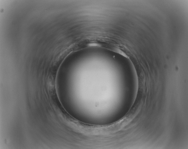 X0000074290040200609011418