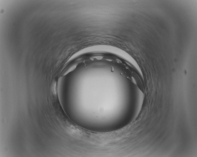 X0000074290041200609011418