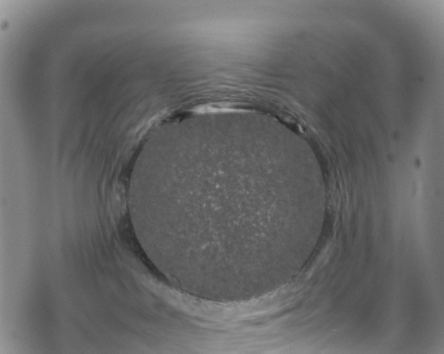 X0000074290043200609011418