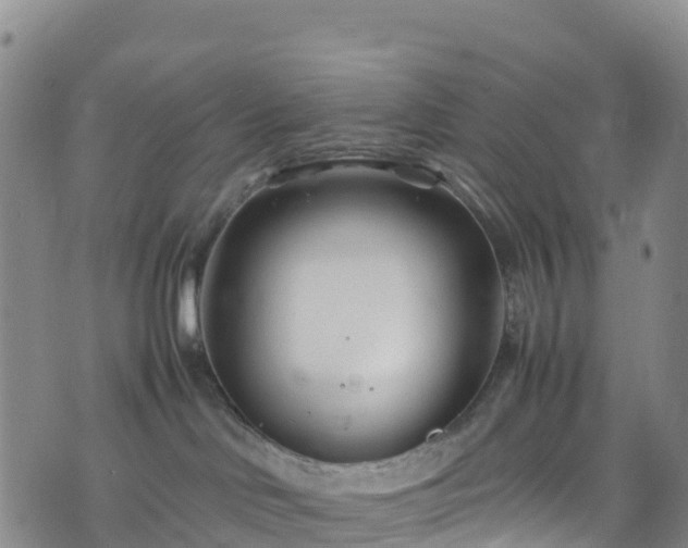 X0000074290046200609011418