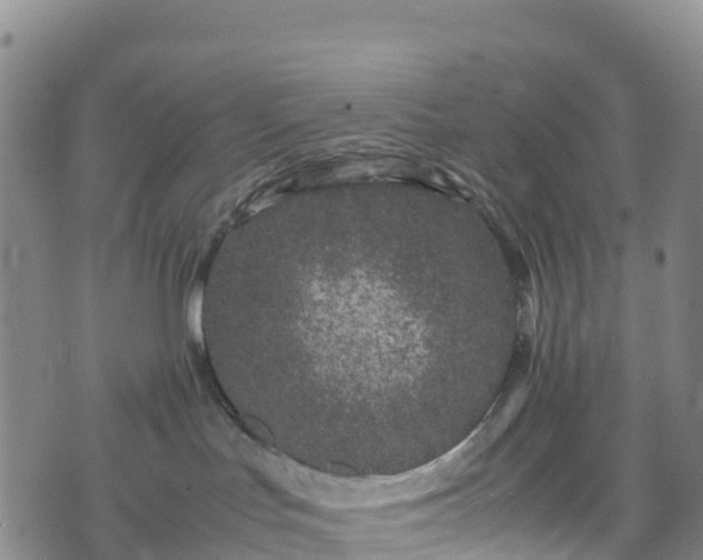 X0000074290047200609011418