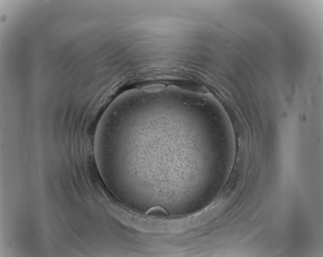 X0000074290048200609011418