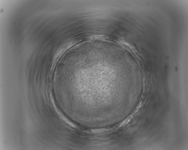 X0000074290049200609011417