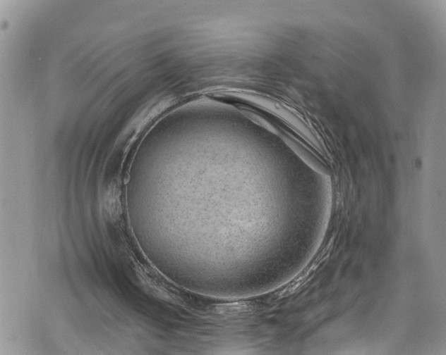 X0000074290050200609011417