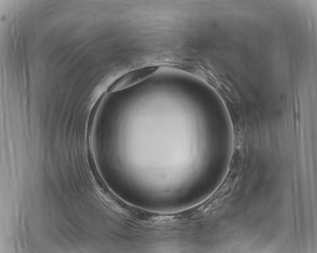 X0000074290052200609011417