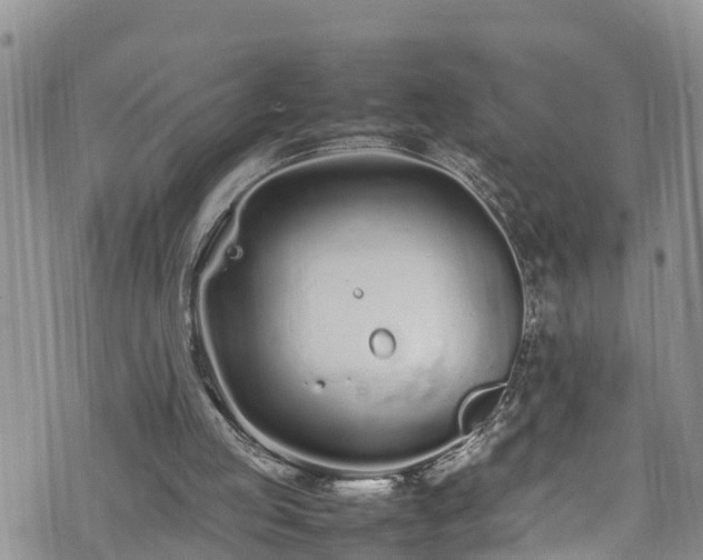 X0000074290053200609011417