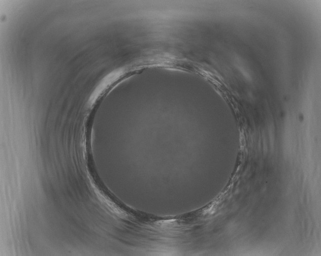 X0000074290054200609011417