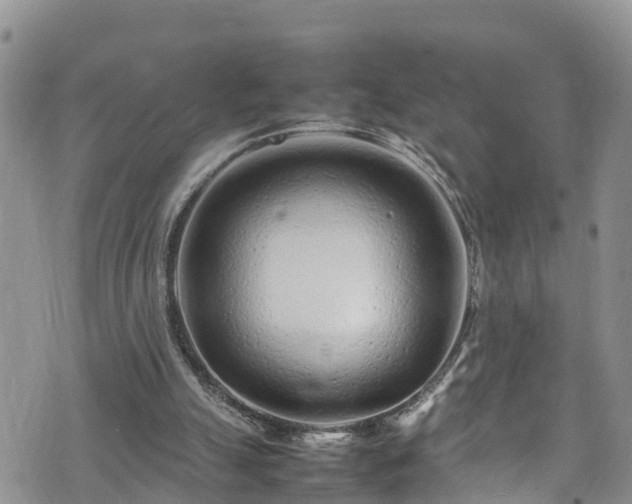 X0000074290055200609011417